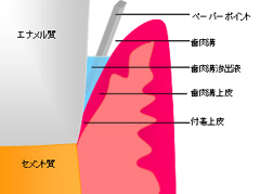 測定方法